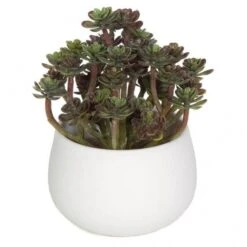 6 Inch Artificial Echeveria Succulent In Ceramic Pot