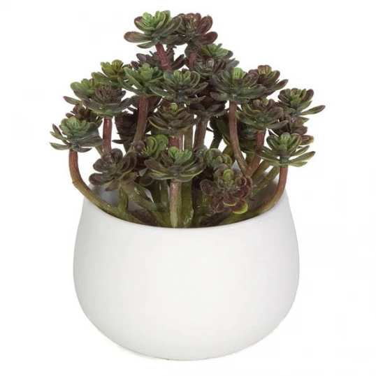 6 Inch Artificial Echeveria Succulent In Ceramic Pot 1 6 Inch Artificial Echeveria Succulent In Ceramic Pot
