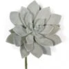7X8 Inch Artificial Frosted Grey/Green Succulent