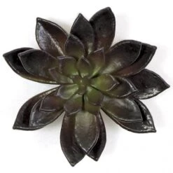 8x8 Inch Artificial Burgundy/Green Succulent