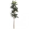 22 Inch Outdoor Green Mountain Laurel Branch (Set Of 12)