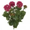 17 Inch Artificial Outdoor Wine/Red Geranium Bush: Unpotted