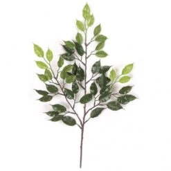 24 Inch Outdoor Artificial Ficus Branch (Set Of 24)