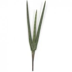 20 Inch Fire Retardant Sanseveria Plant (Set Of 12)
