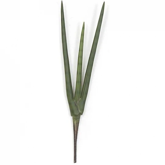 20 Inch Fire Retardant Sanseveria Plant (Set Of 12) 1 20 Inch Fire Retardant Sanseveria Plant (Set Of 12)