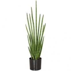 36.5 Inch Fire Retardant Cylindrica Sansevieria: Potted