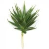 7.5 Inch Fire Retardant Agave Pick