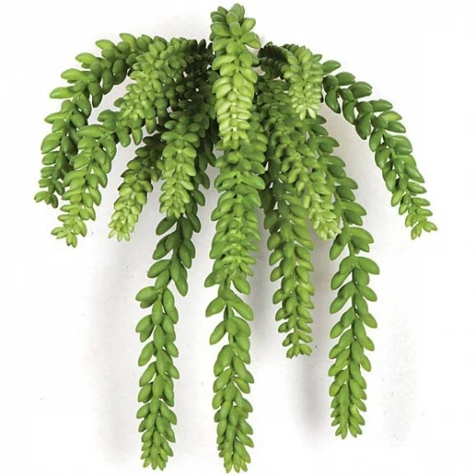 12 Inch Fire Retardant Sedum Bush 1 12 Inch Fire Retardant Sedum Bush