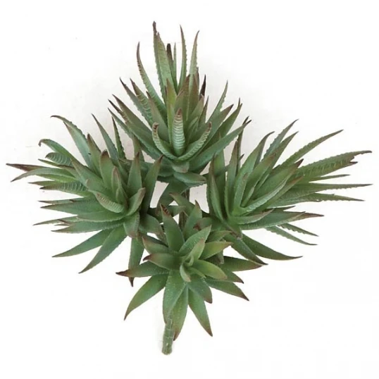9 Inch Fire Retardant Agave Albomargina 1 9 Inch Fire Retardant Agave Albomargina