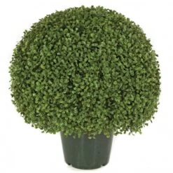 20 Inch Outdoor Potted Plastic Boxwood Ball: Limited UV
