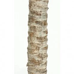 8.5 Foot Double Trunk Phoenix Palm Tree: Potted -Artificial Plant Store AGF P 142220 TRUNK 538x538