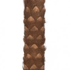 15 Foot Coconut Palm Tree: Potted -Artificial Plant Store AGF P 150630 TRUNK 538x538