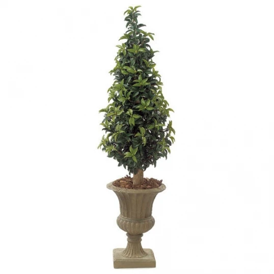 5 Foot Artificial Outdoor Laurel Cone Topiary: Natural Trunk 1 5 Foot Artificial Outdoor Laurel Cone Topiary: Natural Trunk