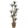 6.5 Foot Artificial Outdoor Liriope Tree: Potted