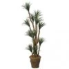 7 Foot Artificial Outdoor Liriope Tree: Potted