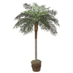 7 Foot Phoenix Palm: Synthetic Trunk