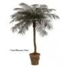 7 Foot Outdoor Artificial Phoenix Palm With 18 Fronds