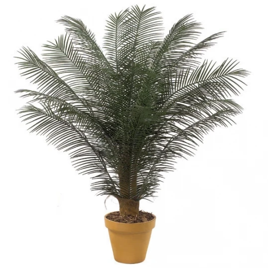 6 Foot Outdoor Artificial Phoenix Palm Cluster With 18 Fronds 1 6 Foot Outdoor Artificial Phoenix Palm Cluster With 18 Fronds