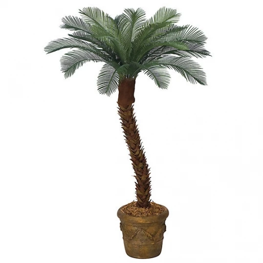 7 Foot Artificial Outdoor Cycas Palm With 18 Fronds & Polyblend Trunk 1 7 Foot Artificial Outdoor Cycas Palm With 18 Fronds & Polyblend Trunk