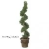 6 Foot Outdoor Artificial Ming Aralia Spiral Topiary