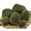 Plastic Moss Rocks - Set Of 6
