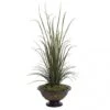 57 Inch River Grass Bush: Potted