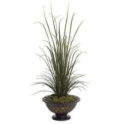 57 Inch River Grass Bush: Potted