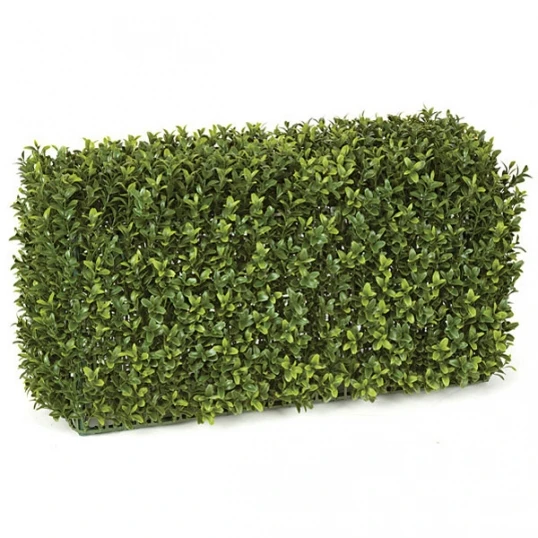 12 X 24 X 11 Inch 5 Sided Outdoor Boxwood Hedge 1 12 X 24 X 11 Inch 5 Sided Outdoor Boxwood Hedge