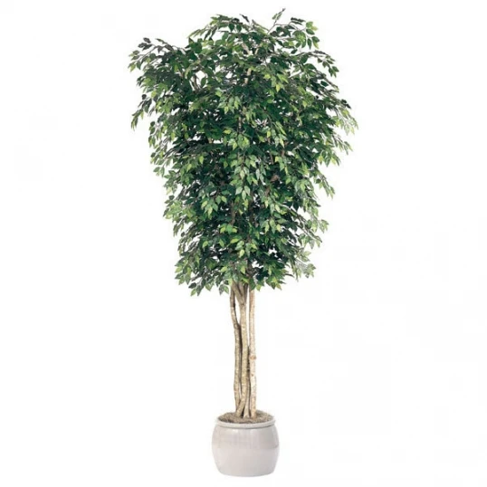 12 Foot Artificial Ficus Tree: Potted 1 12 Foot Artificial Ficus Tree: Potted
