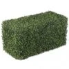 24 X 12 X 12 Inch 5 Sided Boxwood Hedge: UV Protected