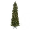 6 Foot Virginia Pine Pencil Tree: Clear Lights
