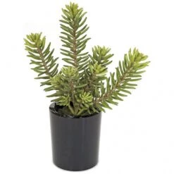 17 Inch Artificial Succulent In Ceramic Pot