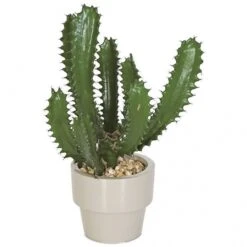 18 Inch Artificial Finger Cactus In Ceramic Pot (Set Of 2)