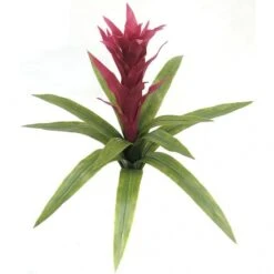 22 Inch Outdoor Artificial Fuchsia Bromeliad: Unpotted