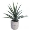 31 Inch Yucca Plant In Cement Planter