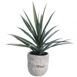 31 Inch Yucca Plant In Cement Planter