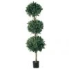 5 Foot Triple Ball Sweet Bay Topiary: Limited UV
