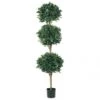 6 Foot Triple Ball Sweet Bay Topiary: Limited UV