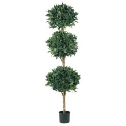 6 Foot Triple Ball Sweet Bay Topiary: Limited UV