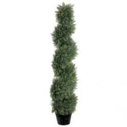 4 Foot Cedar Spiral Topiary: Potted