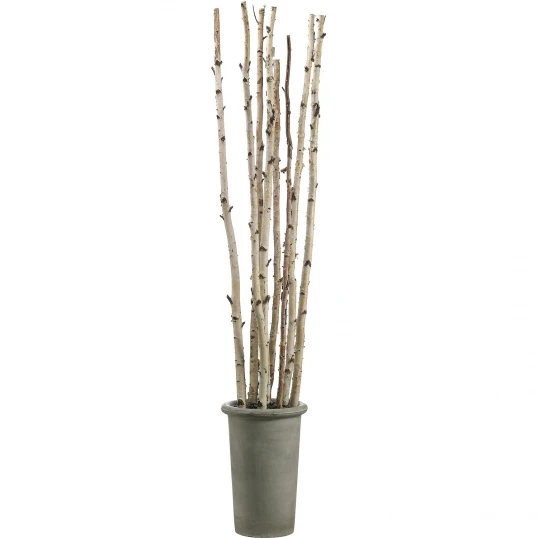 8 Foot Artificial Birch Poles In Fiber Cement Container 1 8 Foot Artificial Birch Poles In Fiber Cement Container