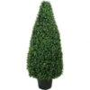 30 Inch UV Protected Basil Cone Topiary: Potted