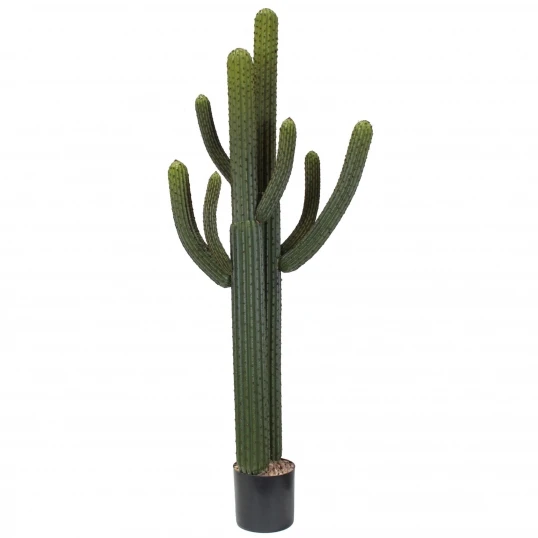 5.5 Foot Artificial Whisker Cactus: Potted (Set Of 2) 1 5.5 Foot Artificial Whisker Cactus: Potted (Set Of 2)