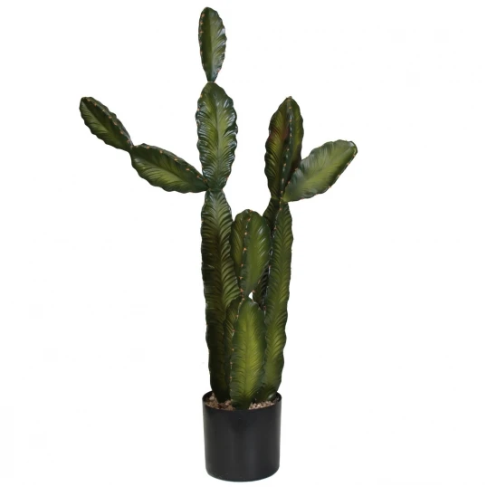 3.5 Foot Column Cactus: Potted (Set Of 2) 1 3.5 Foot Column Cactus: Potted (Set Of 2)