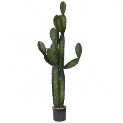 5.5 Foot Column Cactus: Potted (Set Of 2)