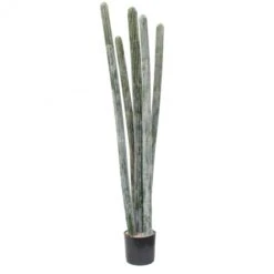 5.5 Foot Artificial Flocked Columnar Cactus: Potted (Set Of 2)