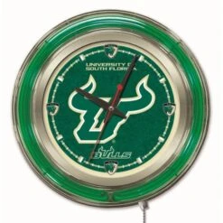 15 Inch South Florida Neon Clock