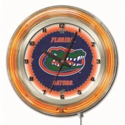 19 Inch Florida Neon Clock