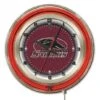 19 Inch Southern Illinois Neon Clock