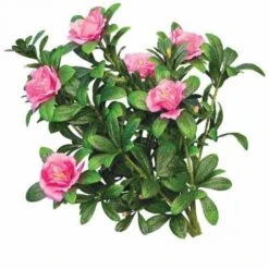 Artificial Outdoor Flowering Azalea Trellis -Artificial Plant Store CSIPINK ZM 3 538x538